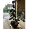 ILEX crenata KINME
