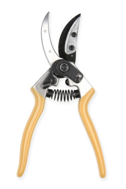 SÉCATEUR LEYAT « CUEILLE-ROSES, FLEURS ET RAMEAUX »