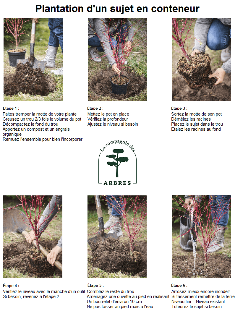 guide-et-conseils-de-plantation-cpa.png
