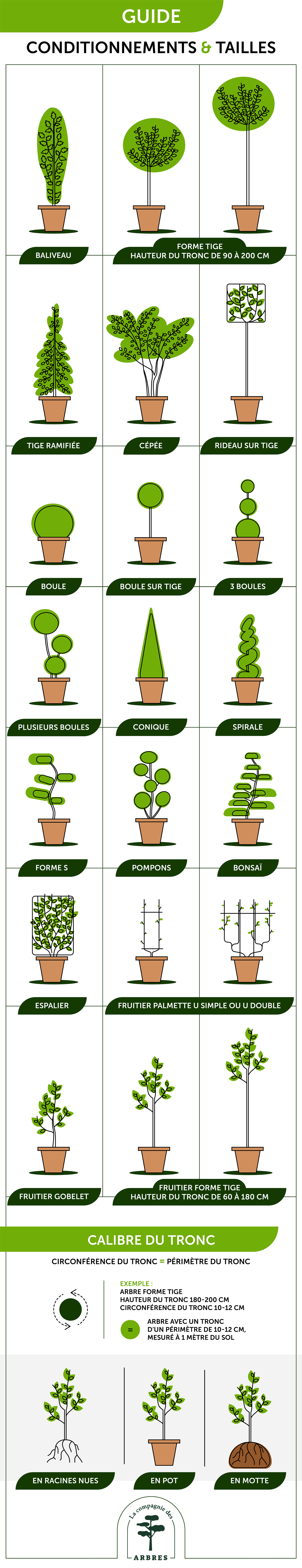 Guide et conseils de plantation